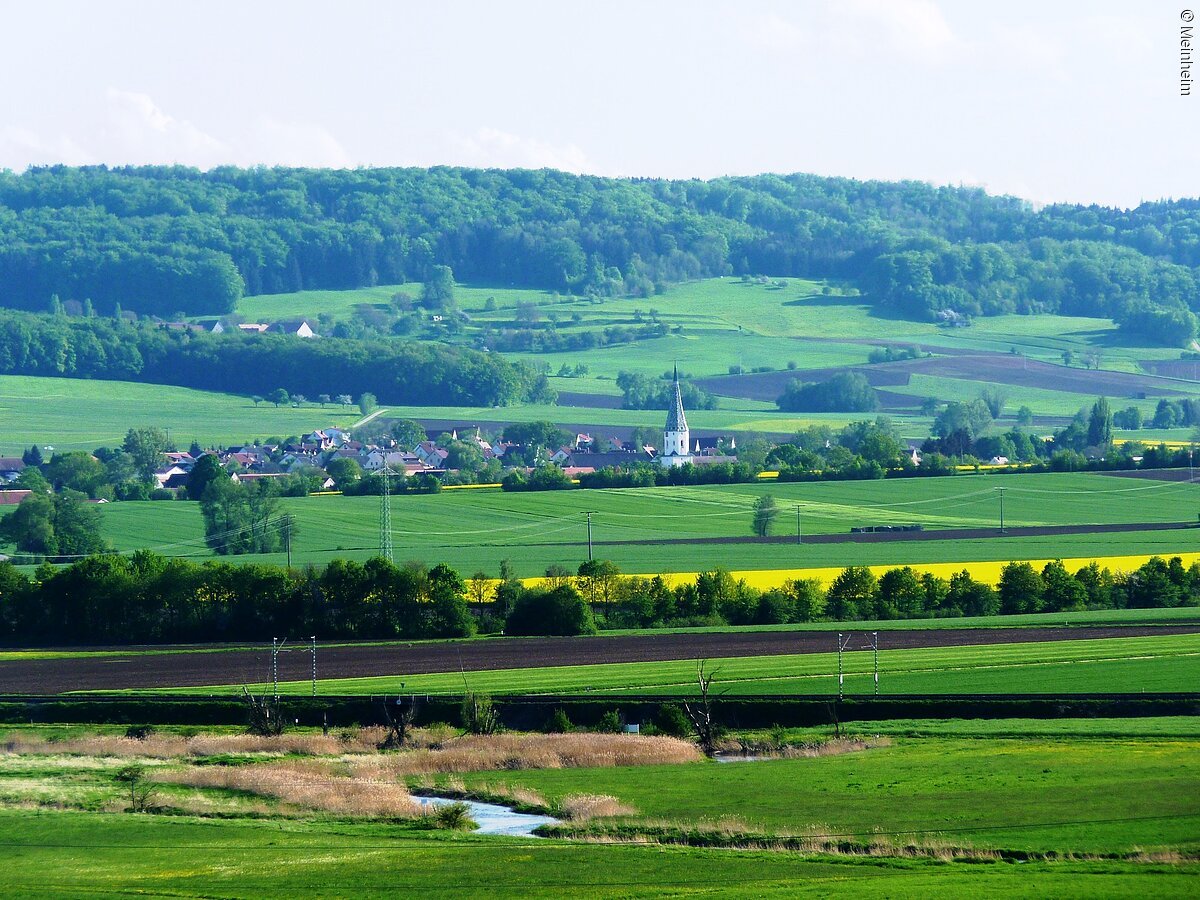 Blick von Gundelsheim nach Meinheim