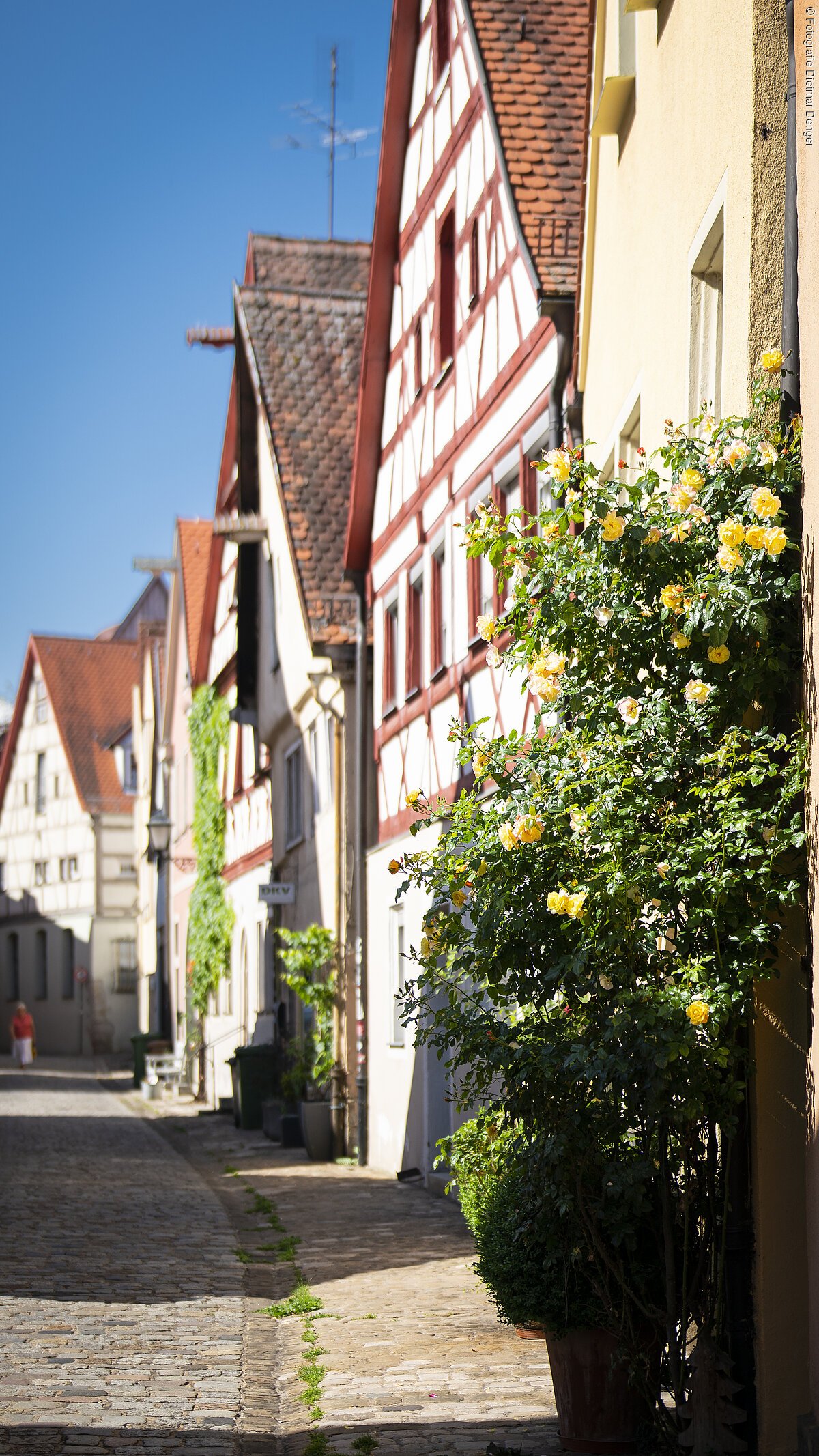 Shooting Weißenburg Juni 2022