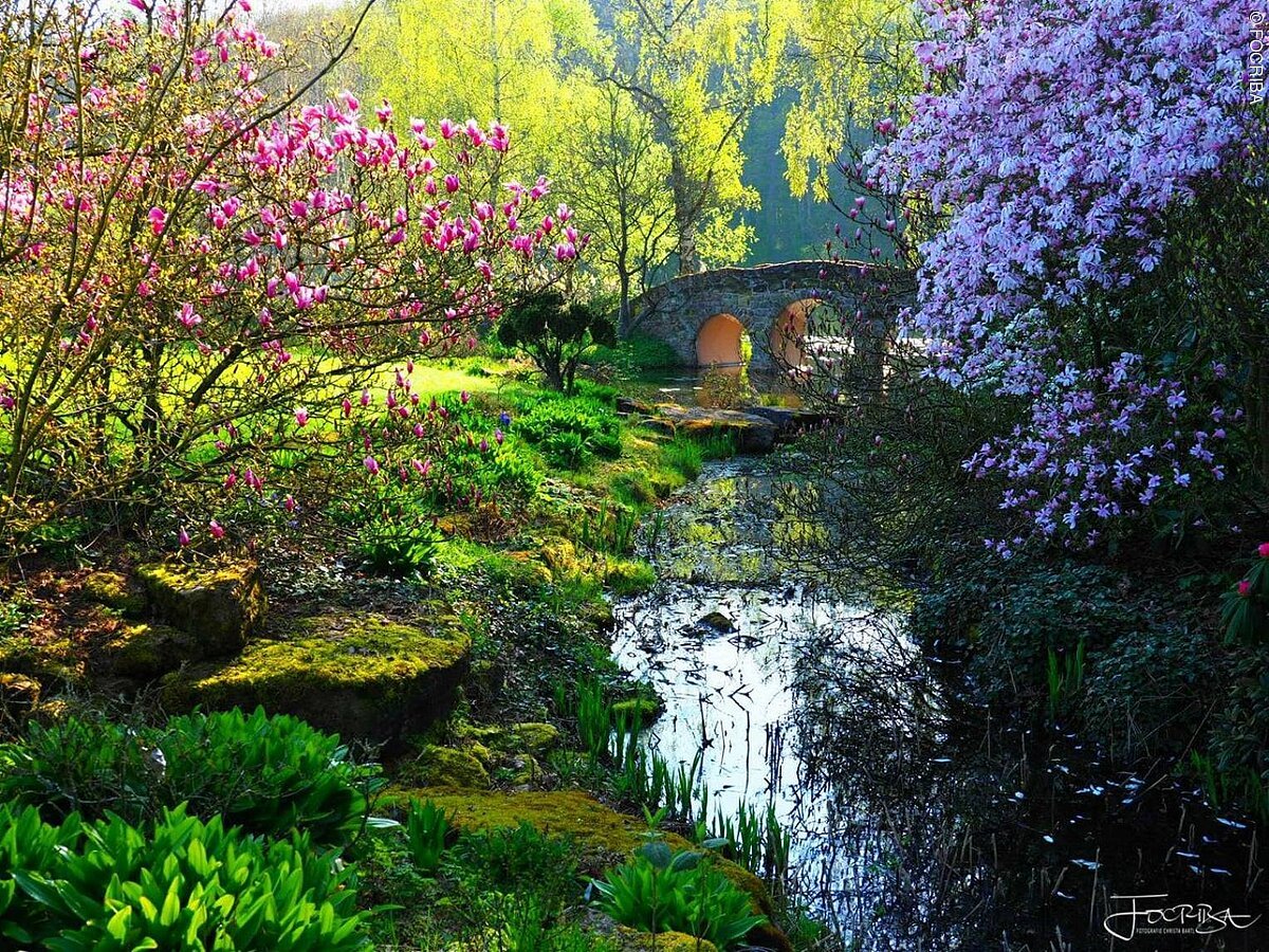 Schlosspark Dennenlohe