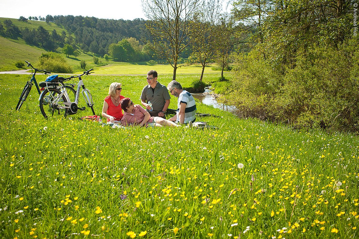 Entspanntes Picknick