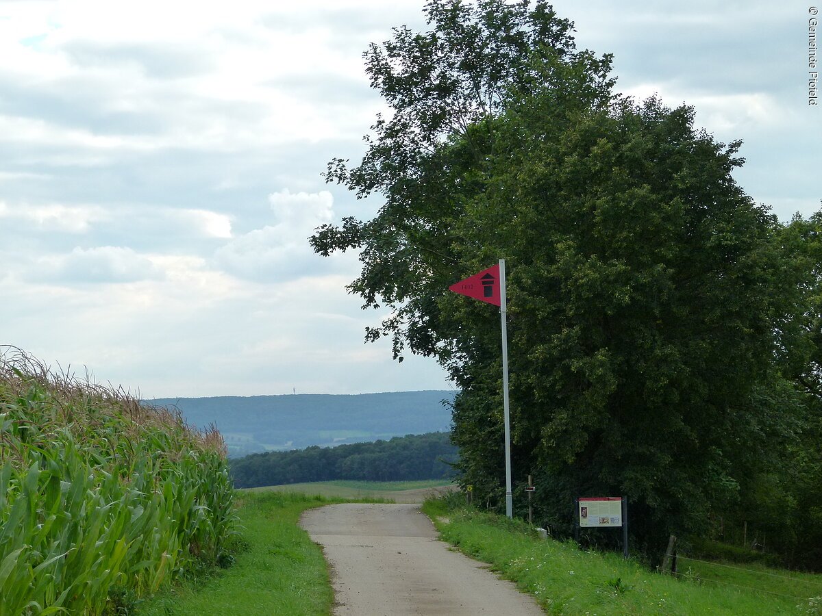 Wegweiser auf dem Limesweg