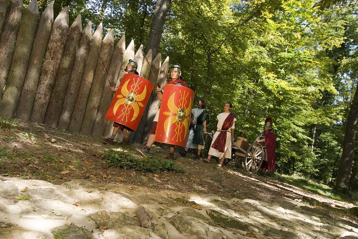 durch Holzstämme wird der Verlauf des Palisadenzauns veranschaulicht