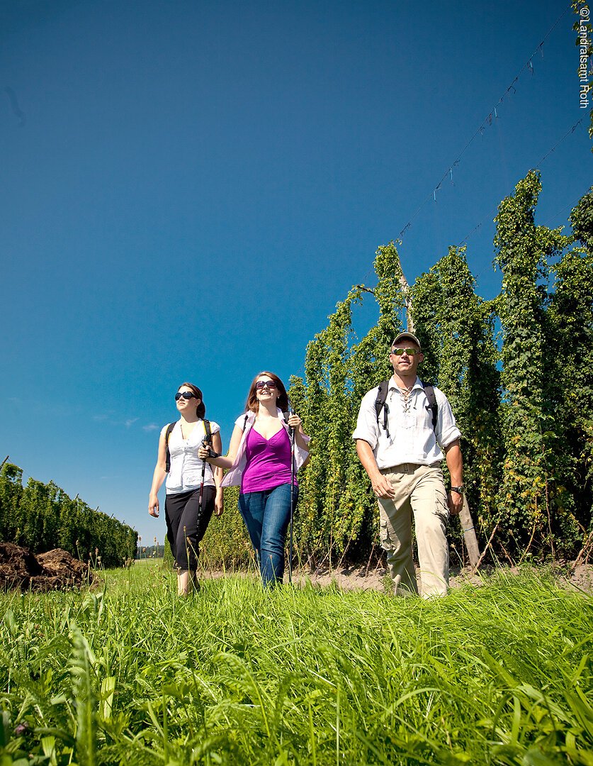 Wandern im Spalter Hopfenland