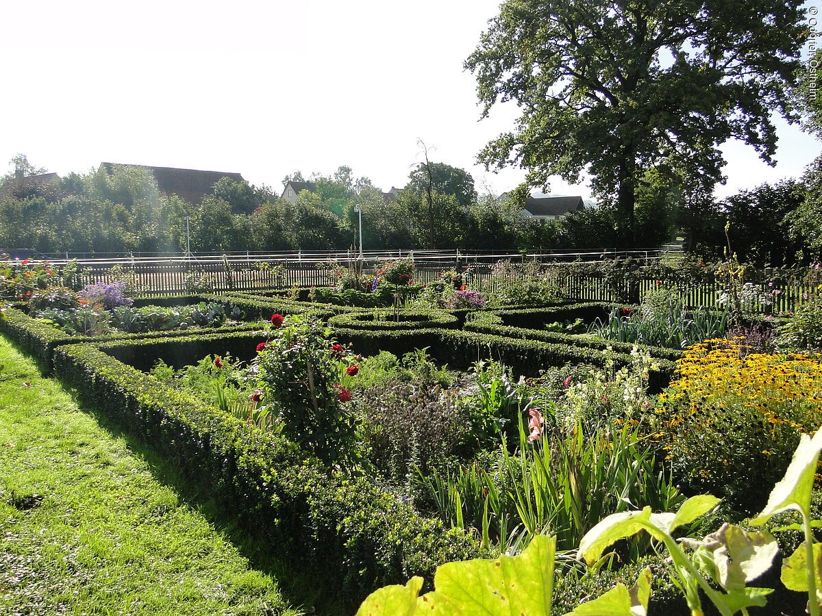 Bauerngarten mit Eiche