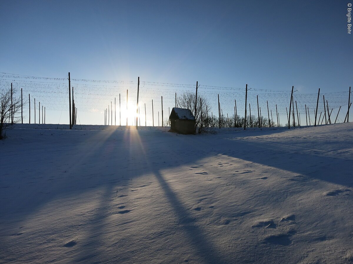 Winterliches Spalt