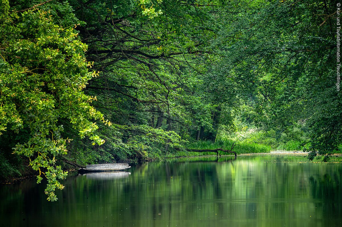 Karlsgraben (wie am Amazonas)