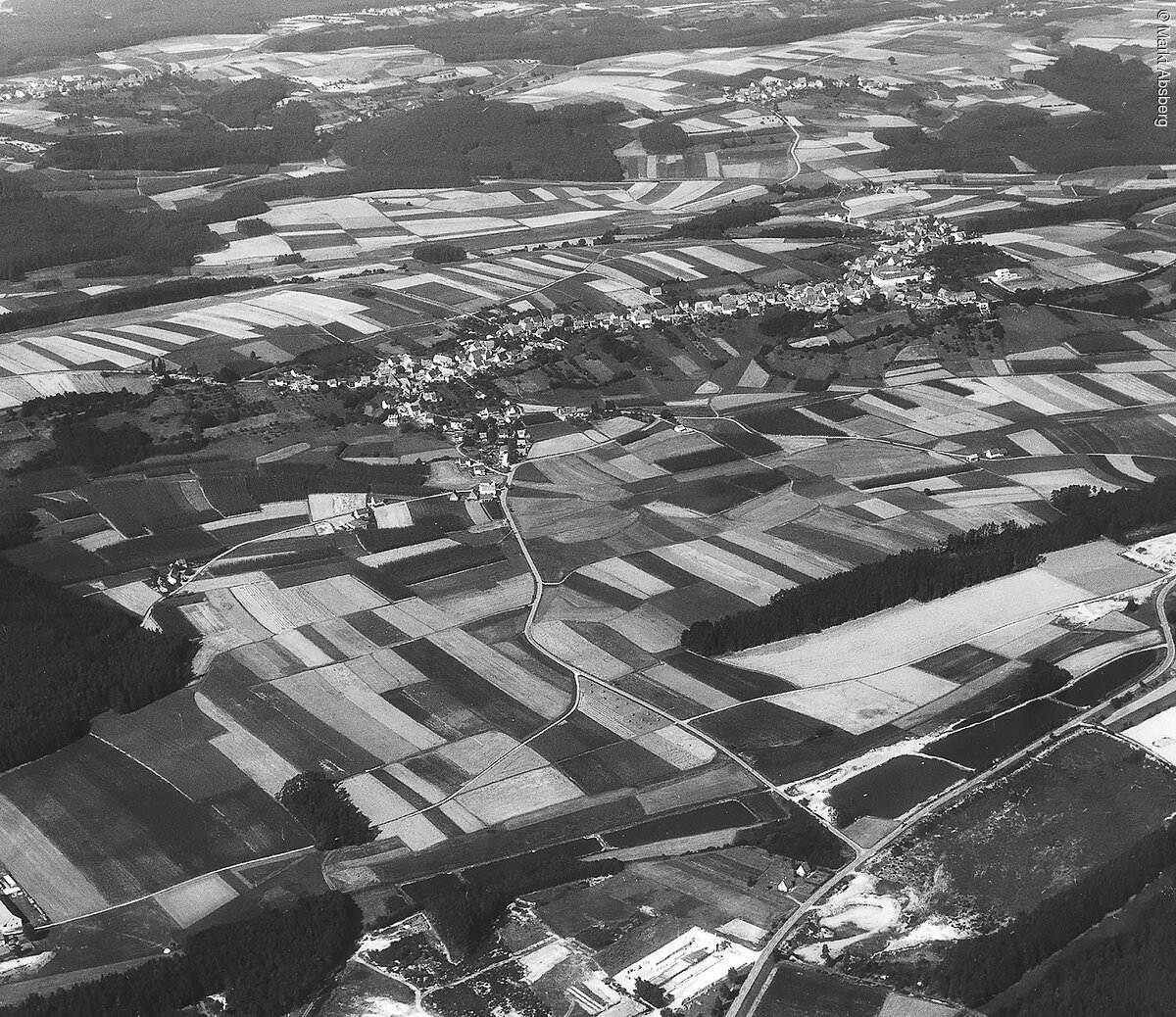 Birkenhof