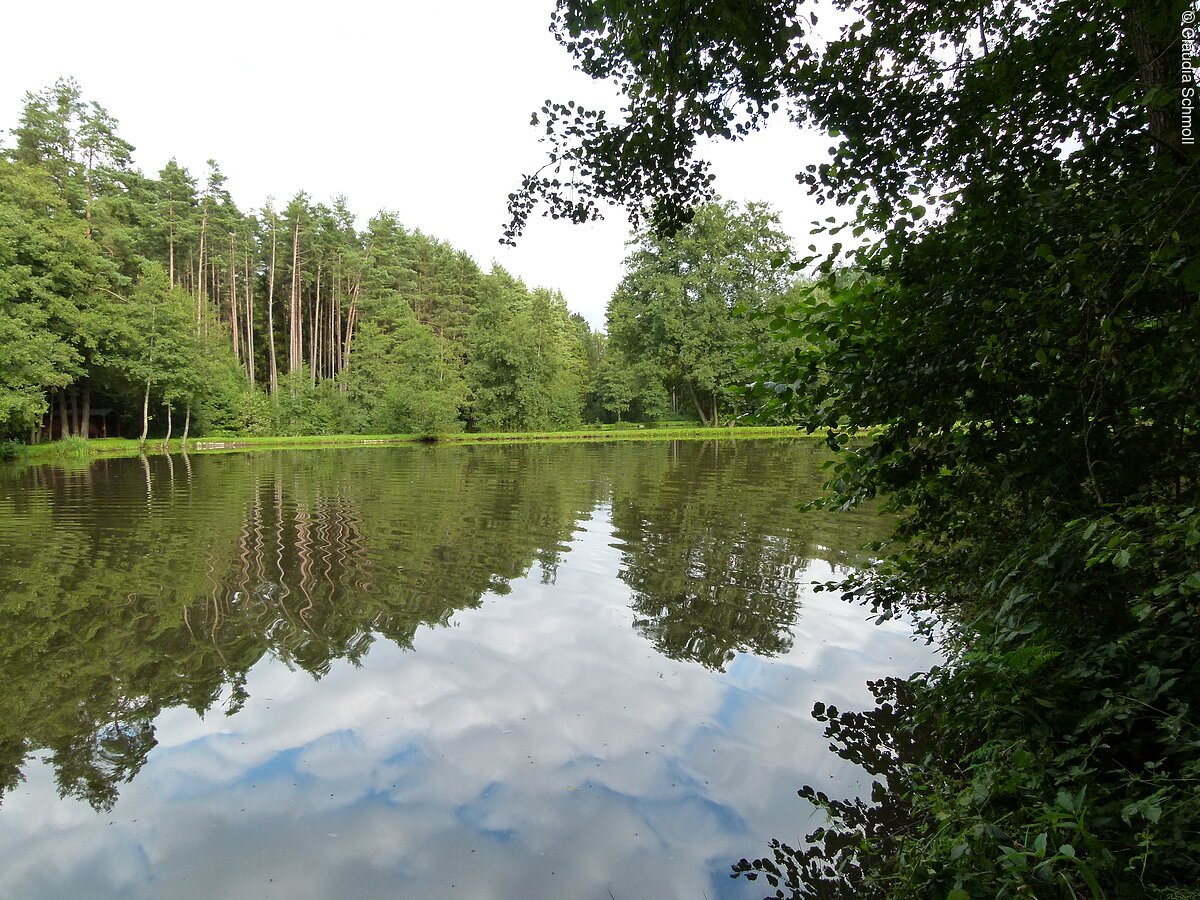 Fichtlesweiher bei Pfofeld