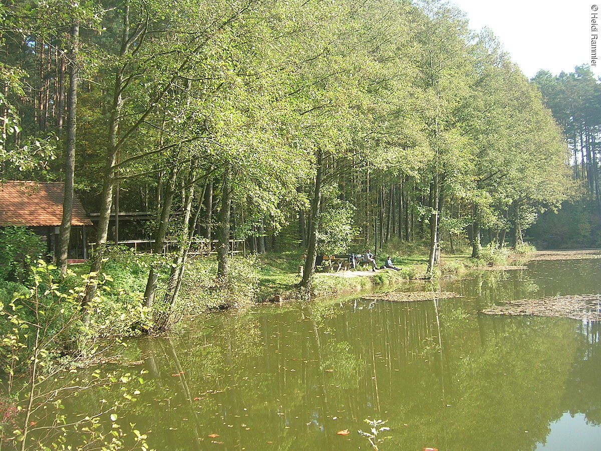 Naturgenuss am Brummer Weiher