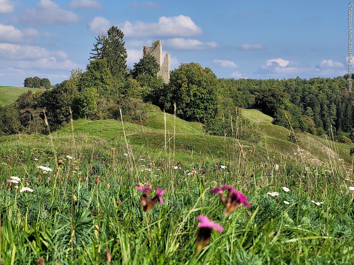 Burgruine Bechthal