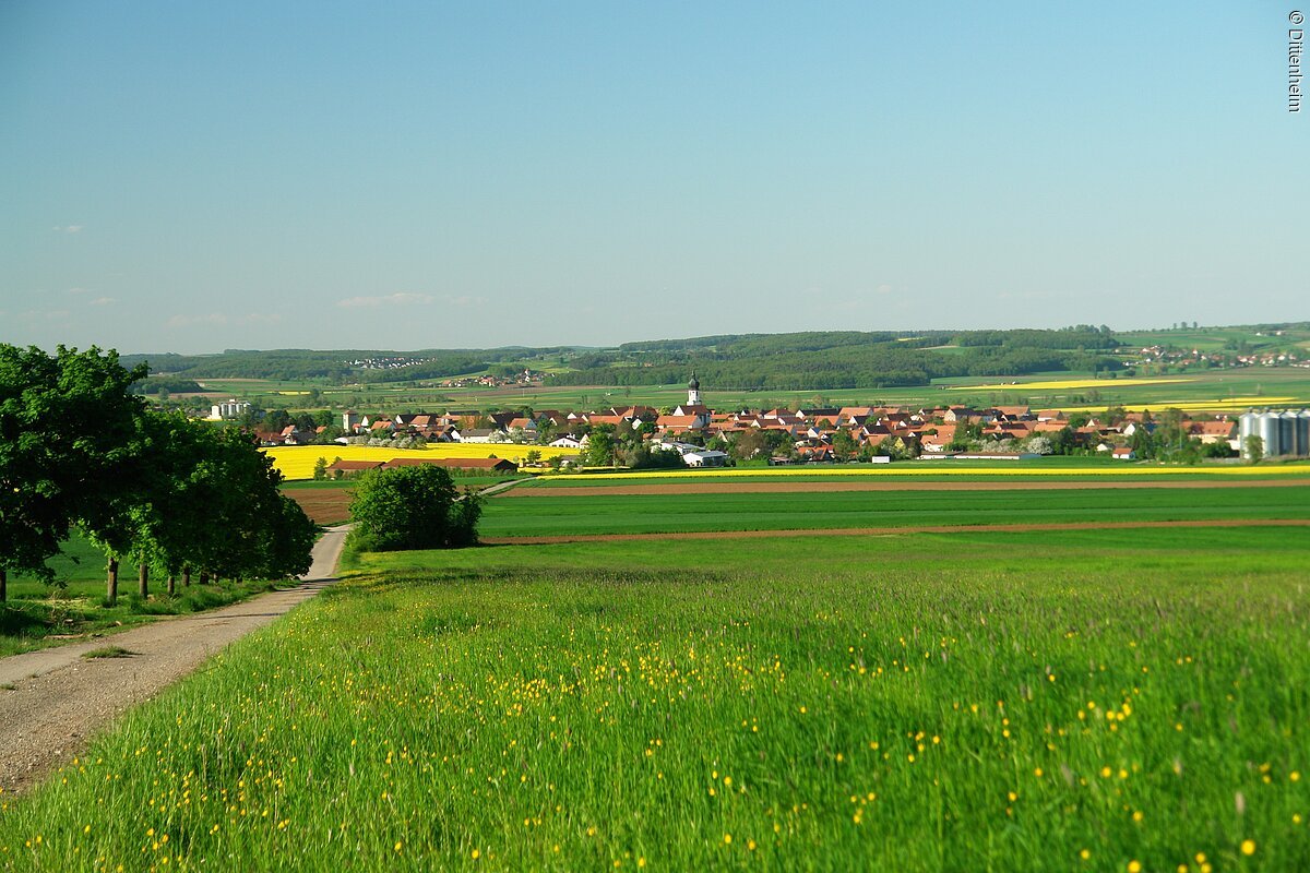 Sicht auf Dittenheim