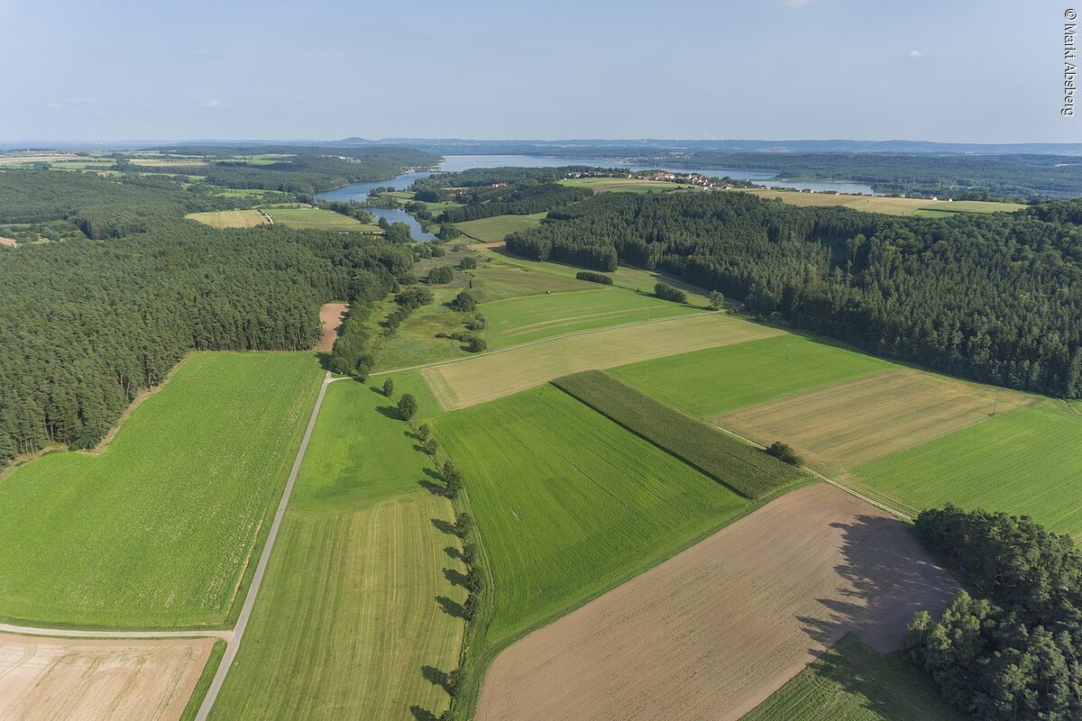 Grüne Wiesen und Wälder