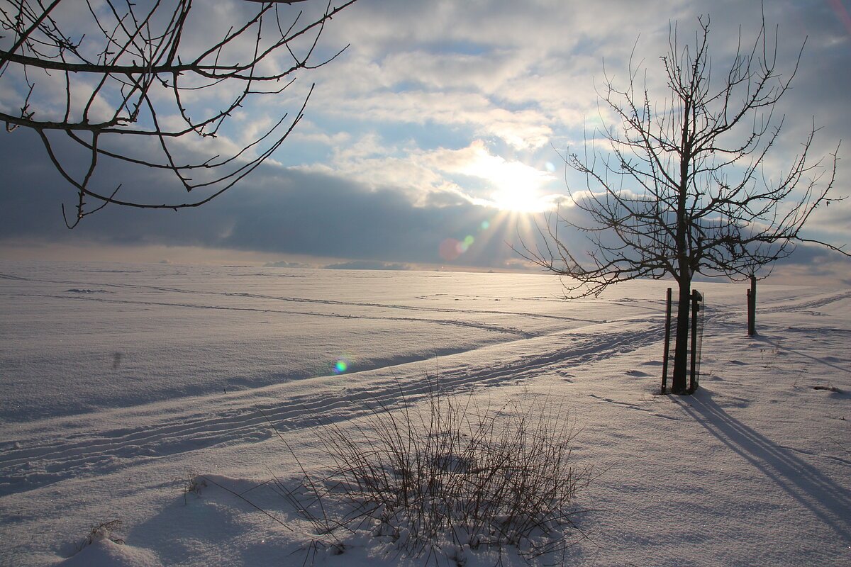 Winterlandschaft Thalmässing