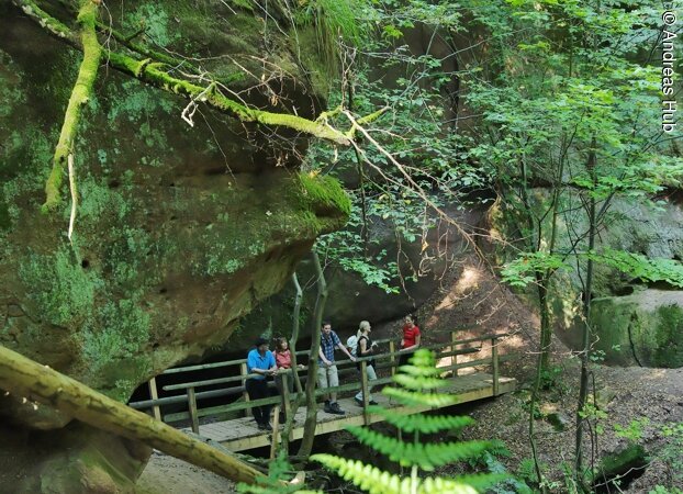 Schnittlinger Loch Spalt Wanderer besichtigen das grüne Schnittlinger Loch. Die Wanderer stehen auf einer Holzbrücke über einer Schlucht. Links und Rechts grün bewachsene Felsen.