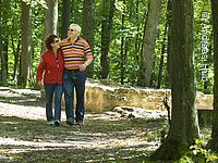 Waldspaziergang Ein älteres Eehepaar spaziert durch den Wald.
