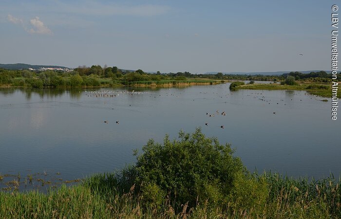 Seebild Ausblick vom Aussichtturm auf die Wasserfläche, die umgeben ist von grünen Wiesen.