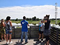 Auf dem Aussichtsturm auf der Vogelinsel Vom Aussichtsturm auf der Vogelinsel aus lassen sich viele verschiedene Vögel beobachten.