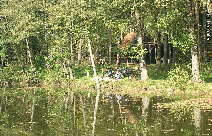 Ruhe am Brummer Weiher Blick auf den Brummer Weiher. Im Hintergrund sitzt ein Ehepaar unter Bäumen auf einer Bank am Ufer.