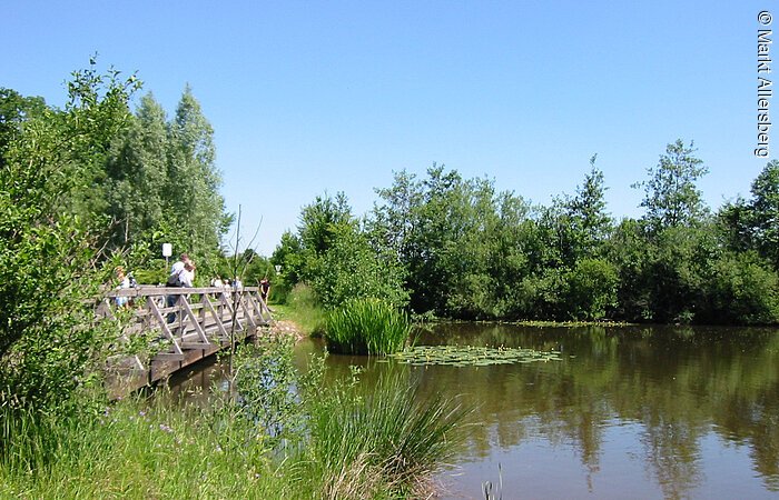 Romantische Seite des Rothsees Der Rothsee hünsch eingebettet zwischen grünen Pflanzen, Bäumen und Sträuchern. Links verläuft eine kleine Holtbrücke über den See.