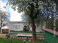 Der mobile Hühnerstall Ein mobiler Hühnerstall mit einem sehr großen Auslauf mit fast 4 m² pro Huhn. Vor dem Stall laufen viele Hühner über die grüne Wiese. In der MItte steht ein Baum mit weißen Blüten.